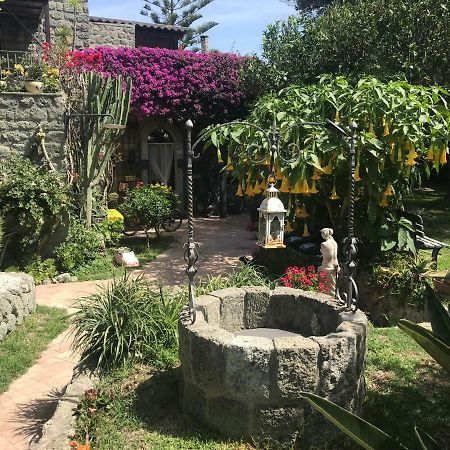 Casa Vacanze Il Pozzo Villa Ischia Island Exteriör bild