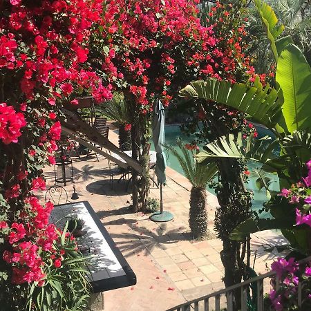 Casa Vacanze Il Pozzo Villa Ischia Island Exteriör bild