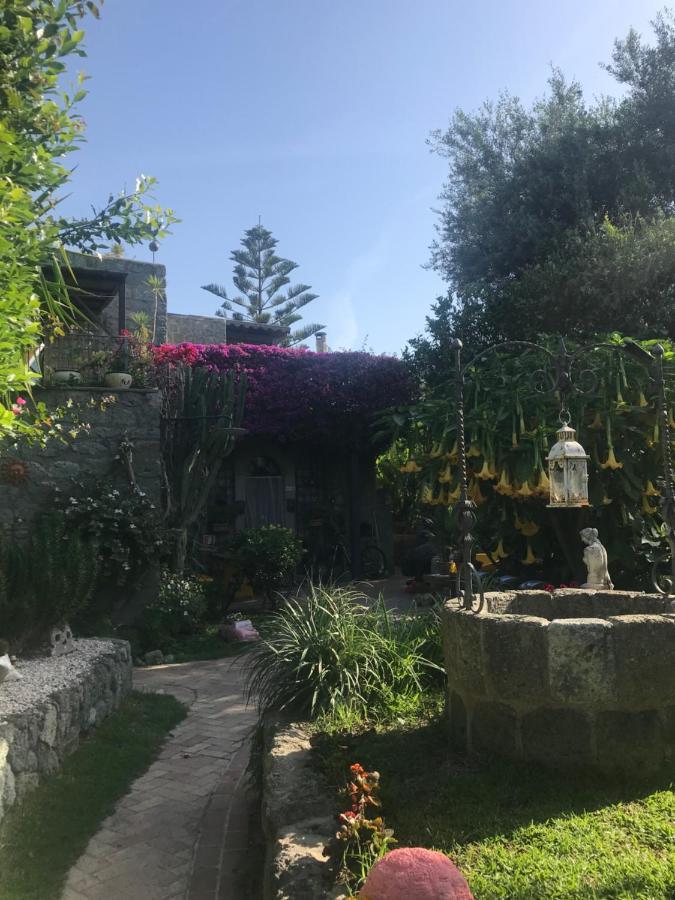 Casa Vacanze Il Pozzo Villa Ischia Island Exteriör bild