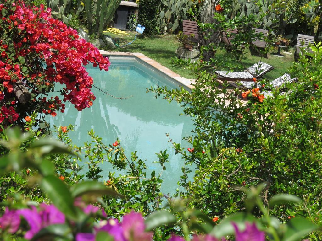 Casa Vacanze Il Pozzo Villa Ischia Island Exteriör bild