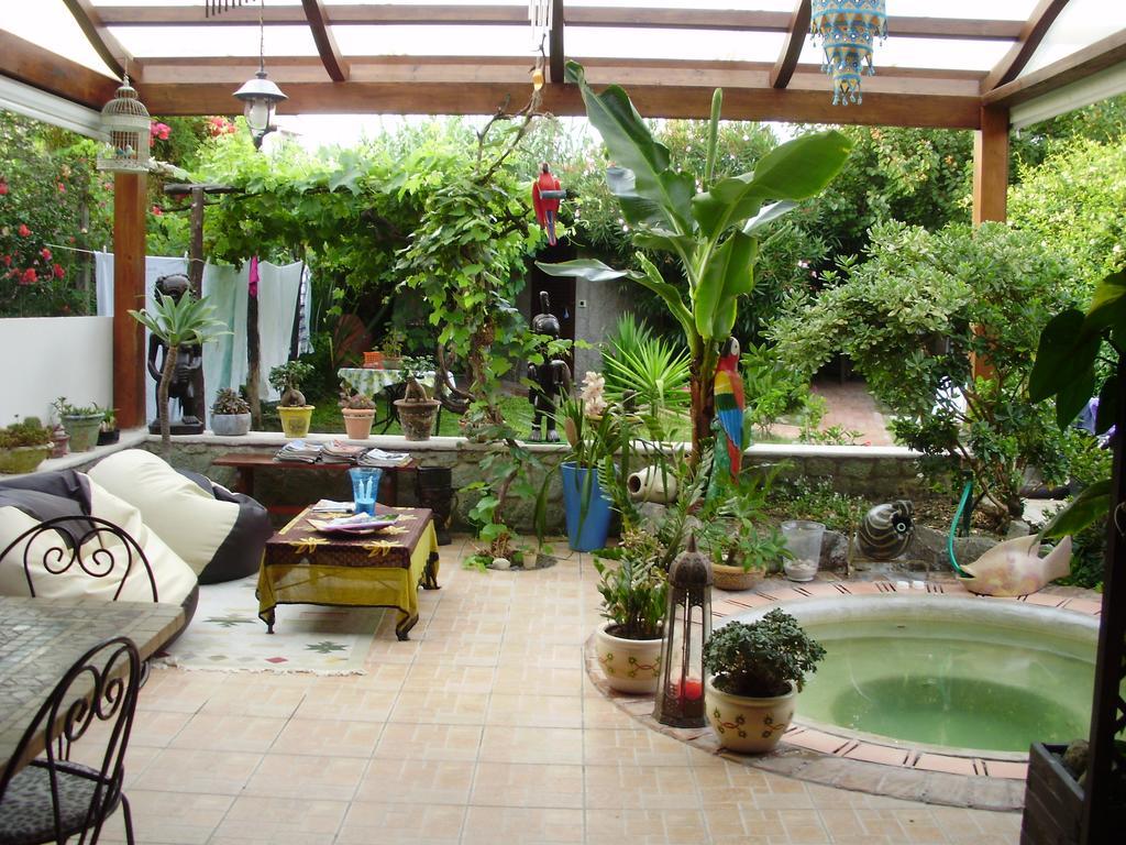Casa Vacanze Il Pozzo Villa Ischia Island Exteriör bild