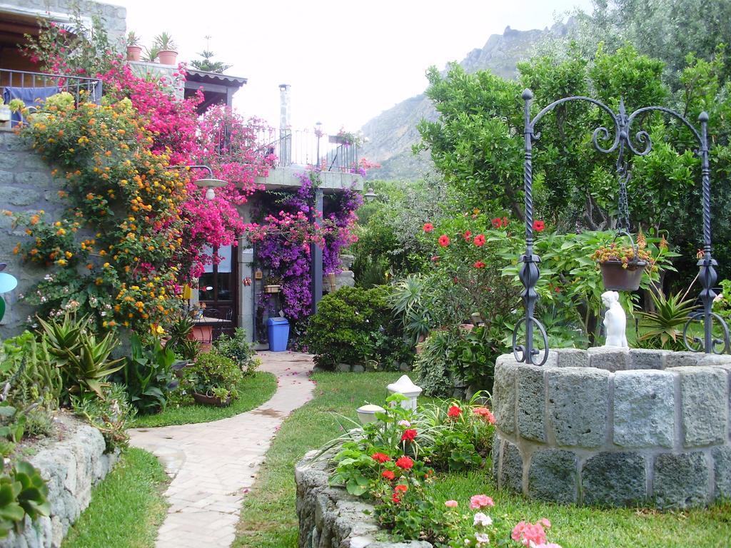 Casa Vacanze Il Pozzo Villa Ischia Island Exteriör bild
