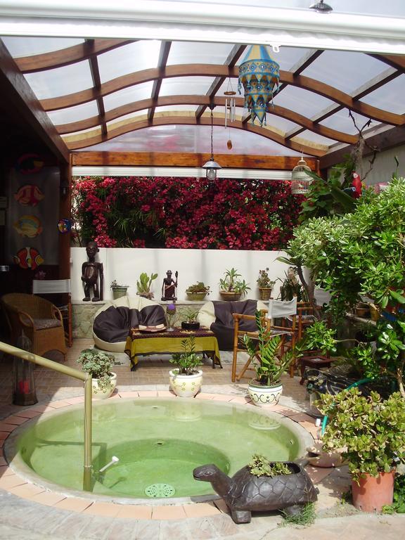 Casa Vacanze Il Pozzo Villa Ischia Island Exteriör bild