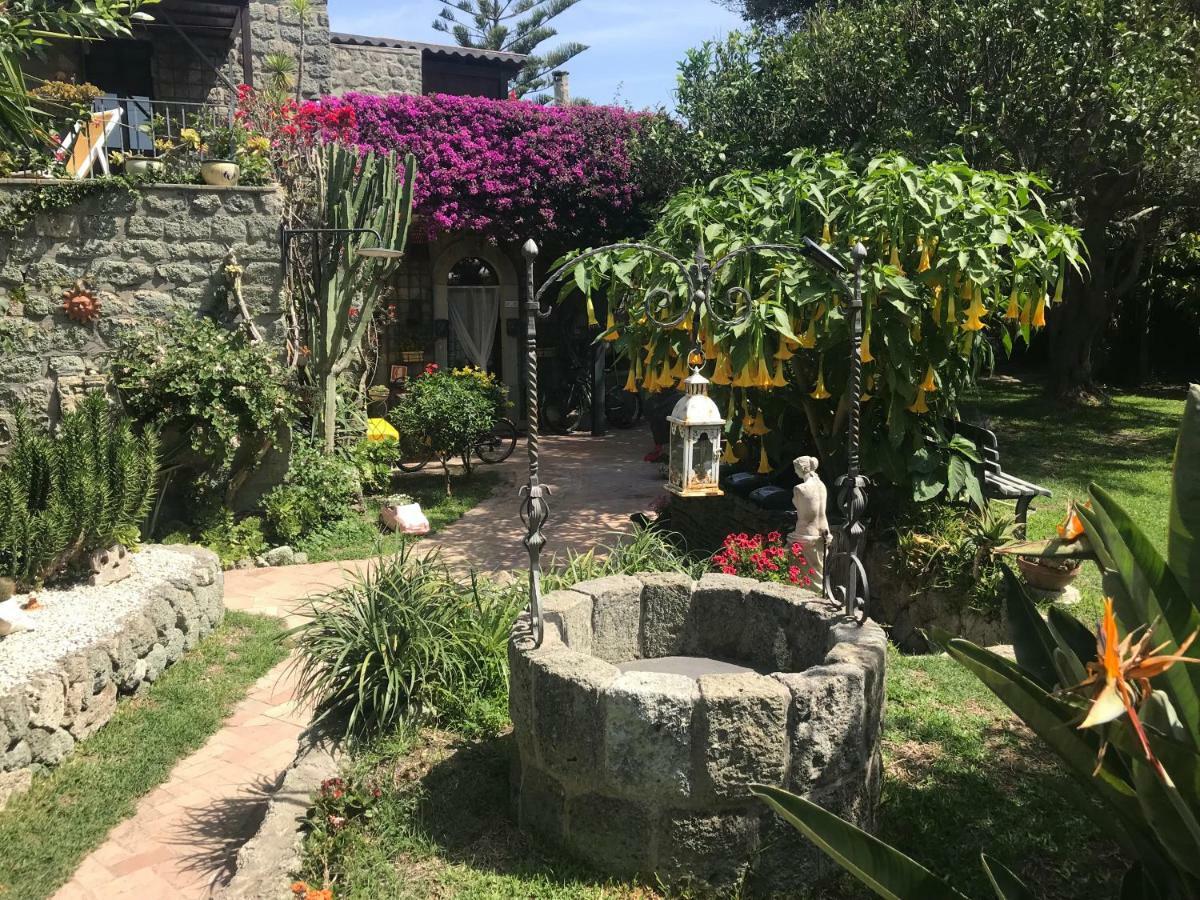 Casa Vacanze Il Pozzo Villa Ischia Island Exteriör bild
