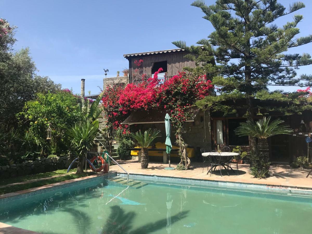 Casa Vacanze Il Pozzo Villa Ischia Island Exteriör bild