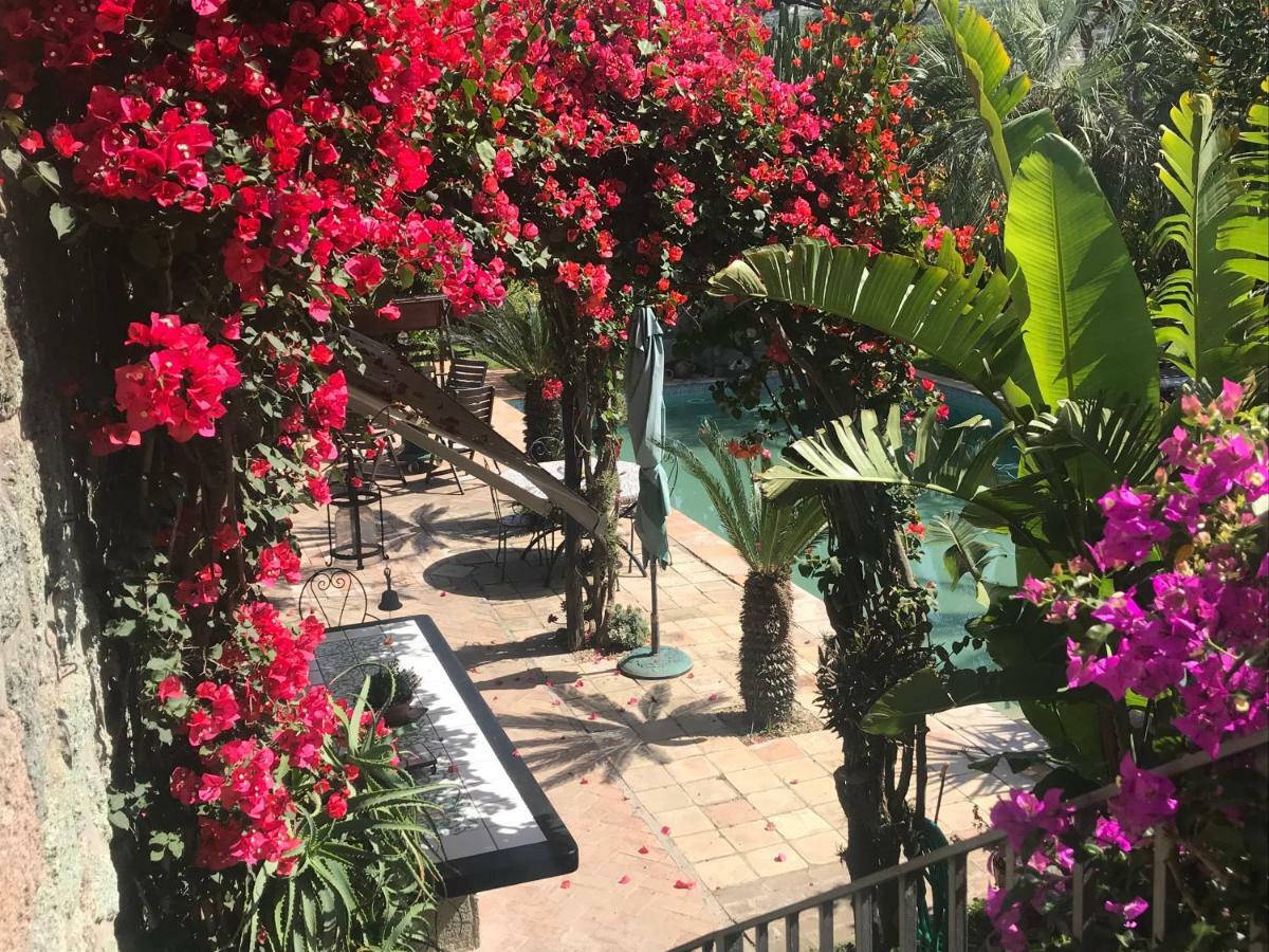 Casa Vacanze Il Pozzo Villa Ischia Island Exteriör bild
